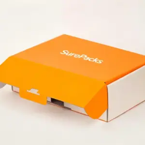 Vibrant Orange Handle Mailer Box