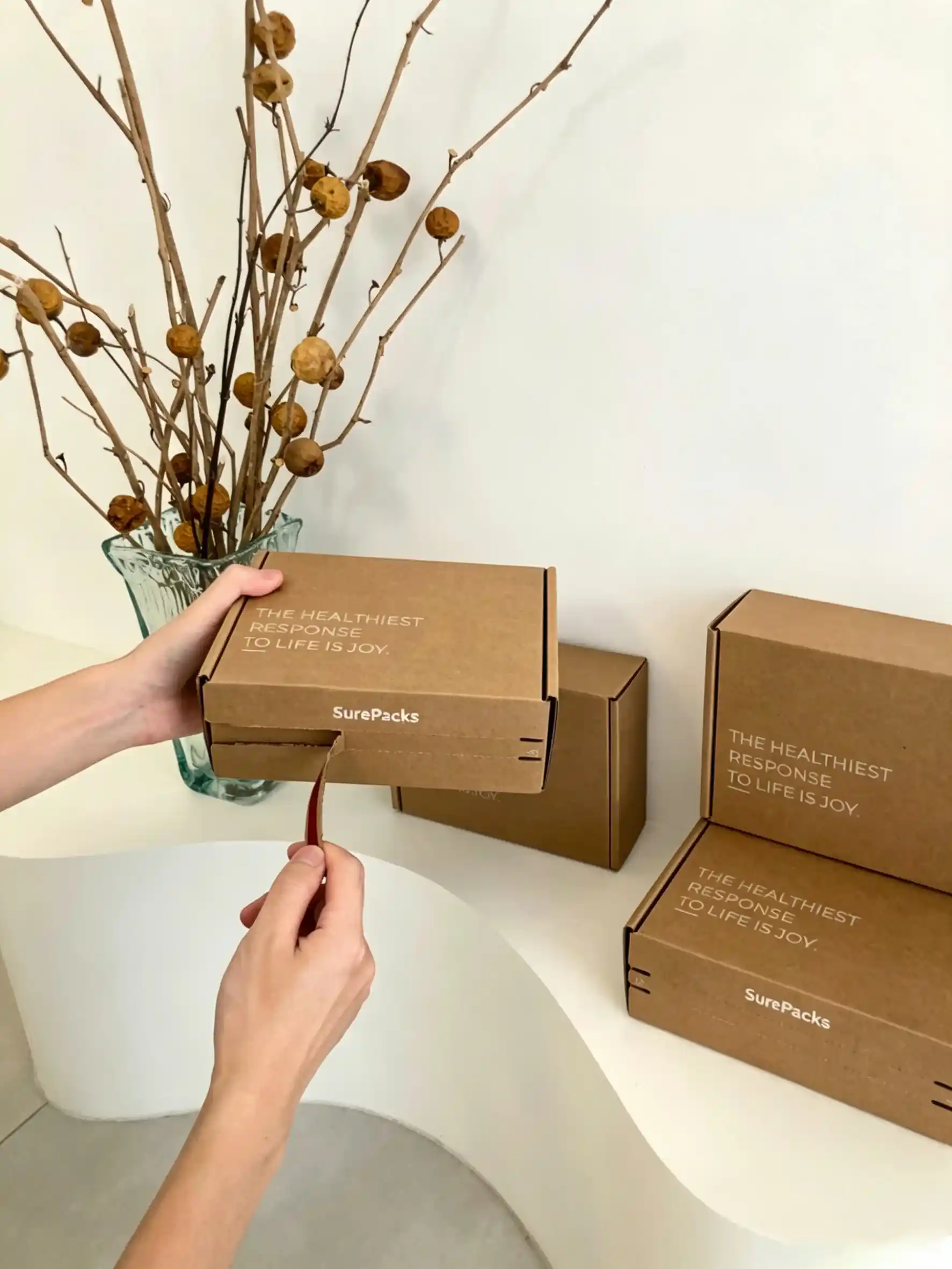 Custom Eco-Friendly Kraft Tear-Strip Corrugated Shipping Box