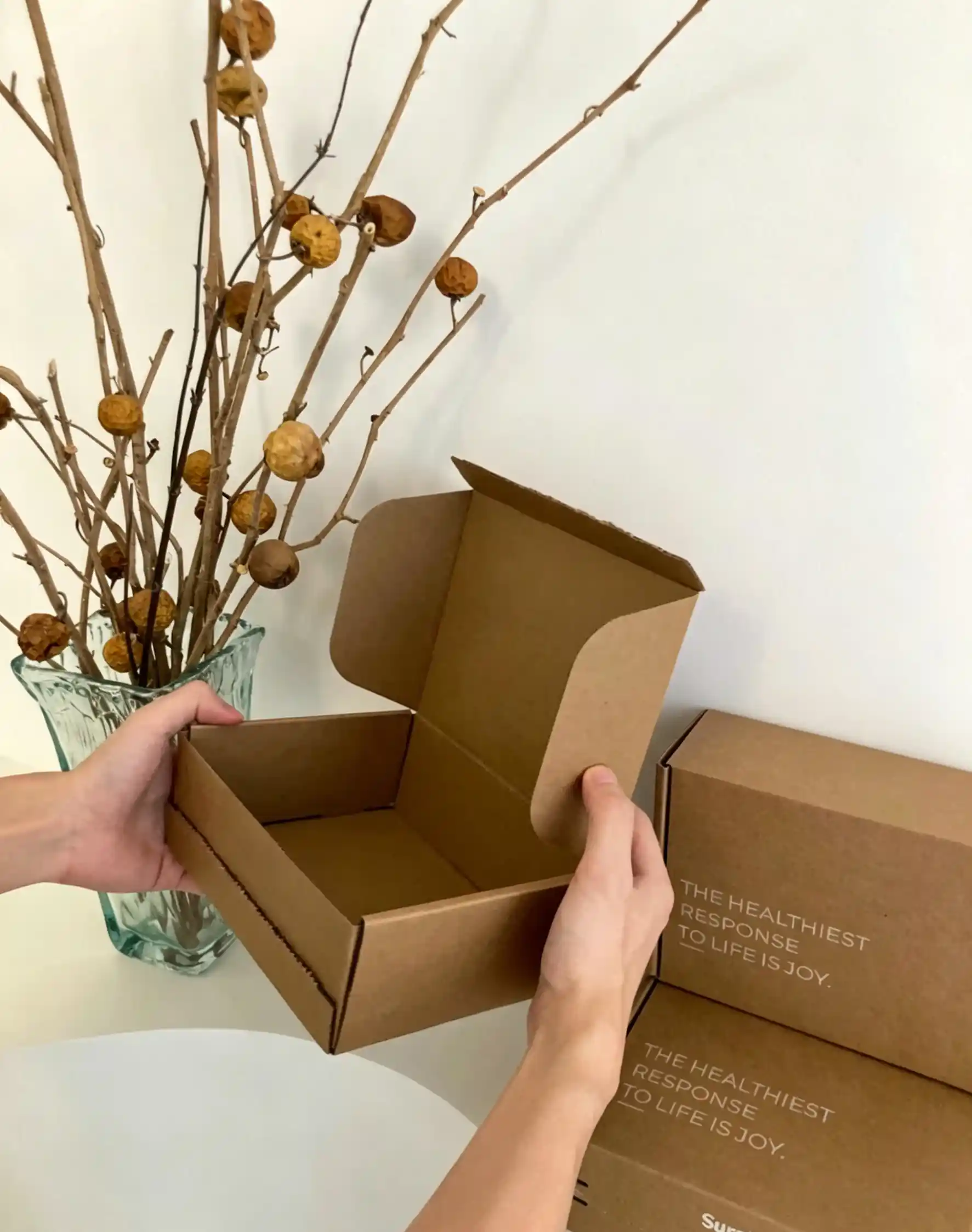Custom Eco-Friendly Kraft Tear-Strip Corrugated Shipping Box - Image 3