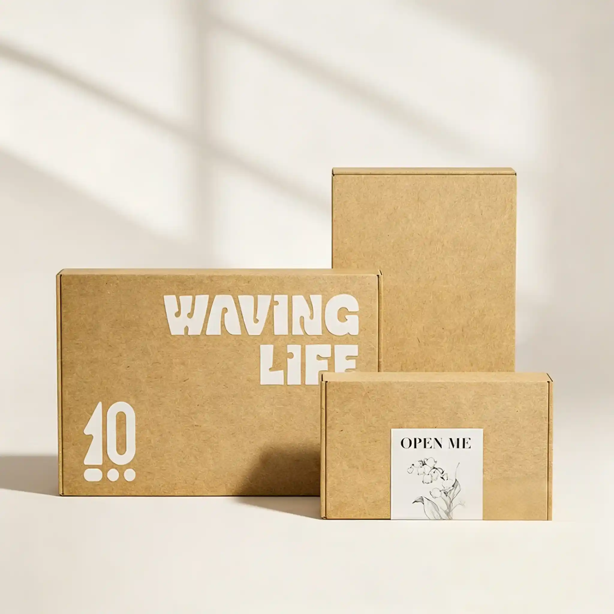 Premium Eco-Kraft E-Commerce Mailer Boxes