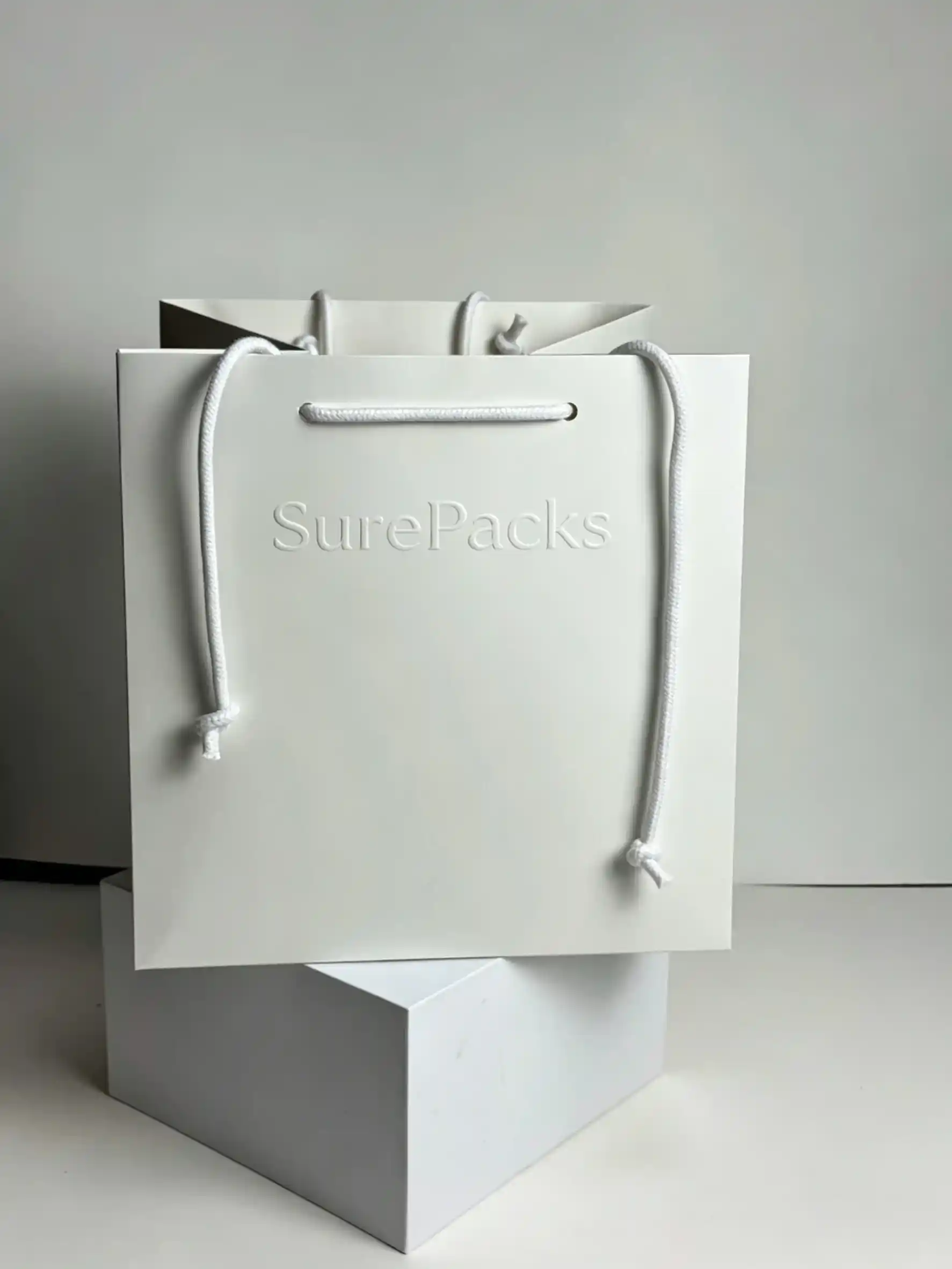 Premium Luxury Embossed Retail Shopping Bag - Image 4